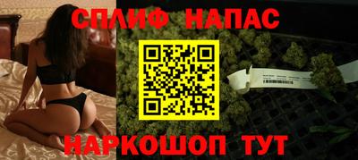 МДПВ Моздок