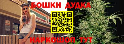 МДПВ Моздок