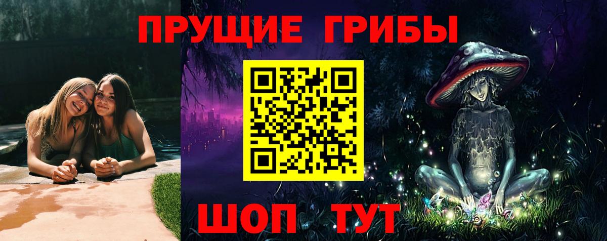 Галлюциногенные грибы Psilocybe Фролово